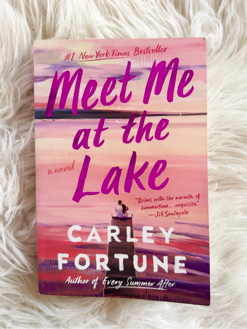 CARLEY FORTUNE novel ‘Meet me at the Lake”. Like new summer romance book